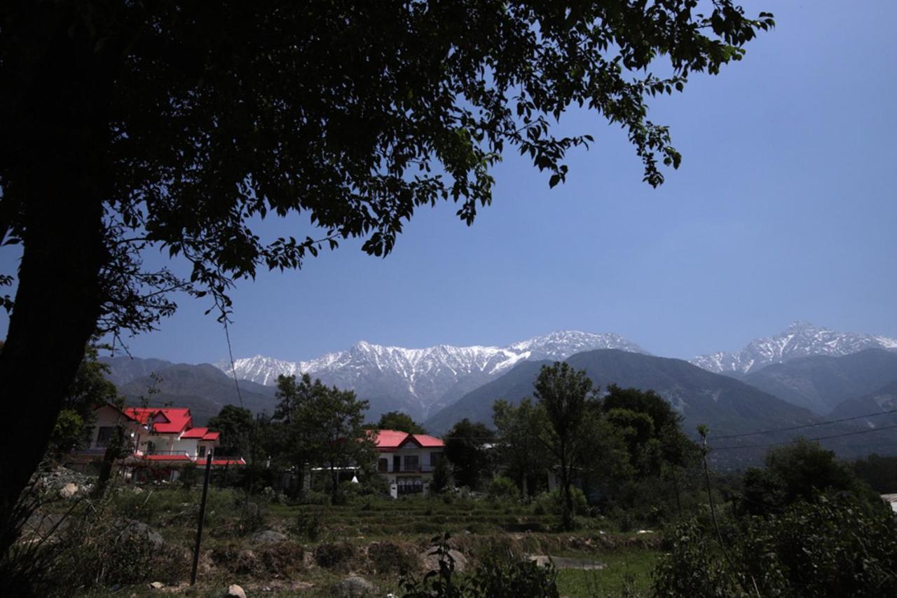 Harmony Blue Mcleodganj Hotel McLeod Ganj Exterior foto